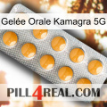 Gelée Orale Kamagra 5G levitra1